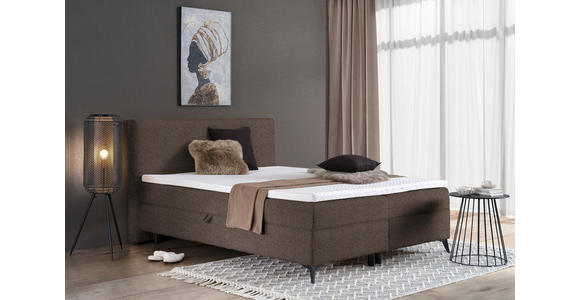 BOXBETT 160/200 cm in Dunkelbraun - Dunkelbraun/Schwarz, Design, Holz/Holzwerkstoff (160/200cm) - Xora