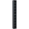 CD-REGAL Anthrazit  - Anthrazit, Design, Holzwerkstoff (40/94/17cm) - MID.YOU