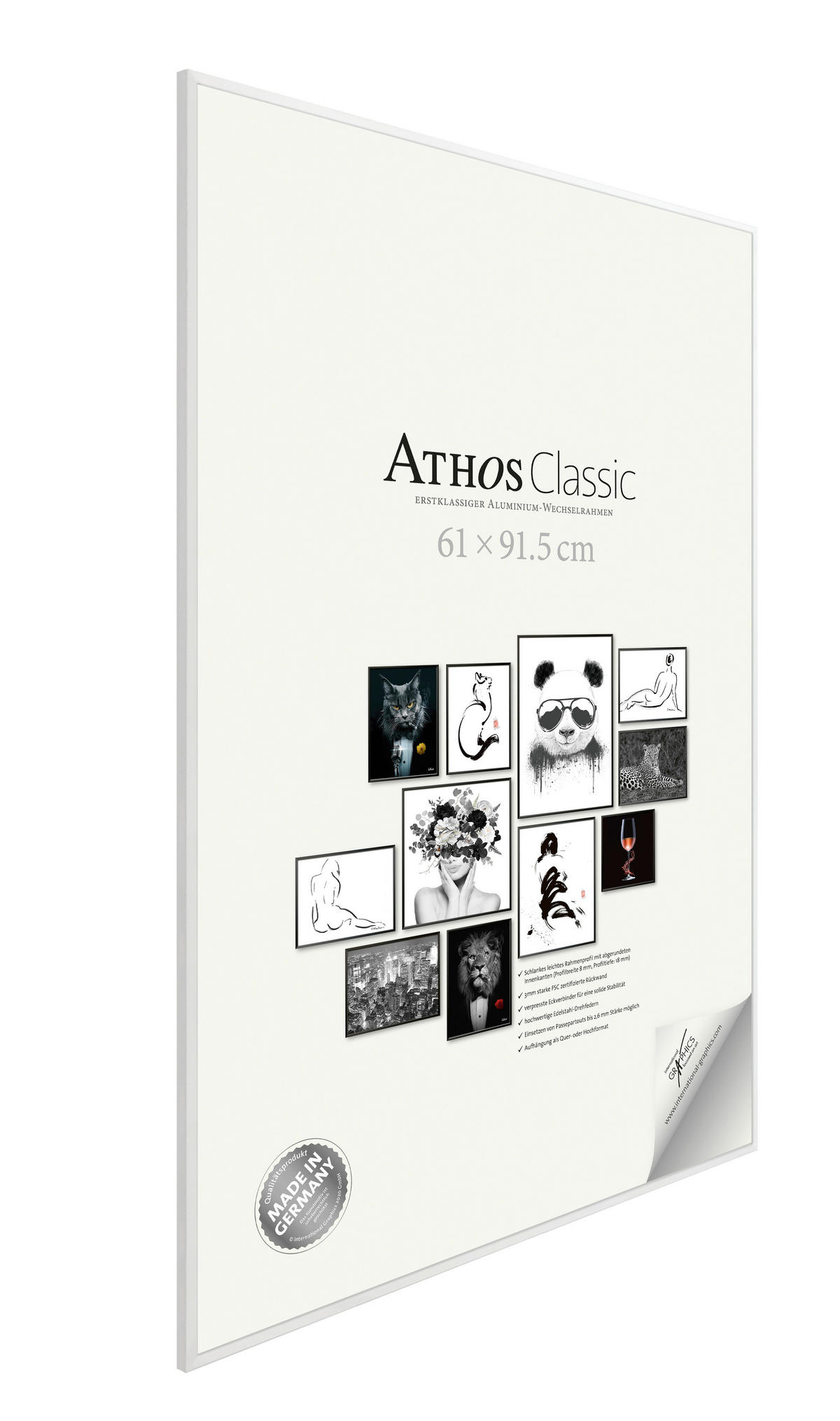 BILDERRAHMEN - Goldfarben, Basics, Papier/Holzwerkstoff (61/91,5/1,8cm)