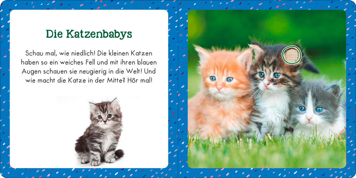 SOUNDBUCH  - Basics (16/16/1,8cm) - Carlsen