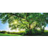 KEILRAHMENBILD - Multicolor, Natur, Holz/Papier (115/55/3cm) KEILRAHMENBILD - Multicolor, Natur, Holz/Papier (115/55/3cm)