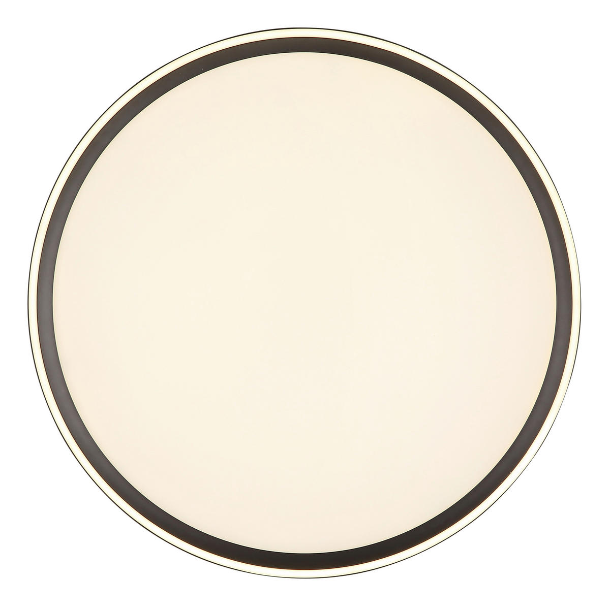 STROPNÍ LED SVÍTIDLO, 50/50/5,5 cm - opál, Basics, kov/plast (50/50/5,5cm) - Globo