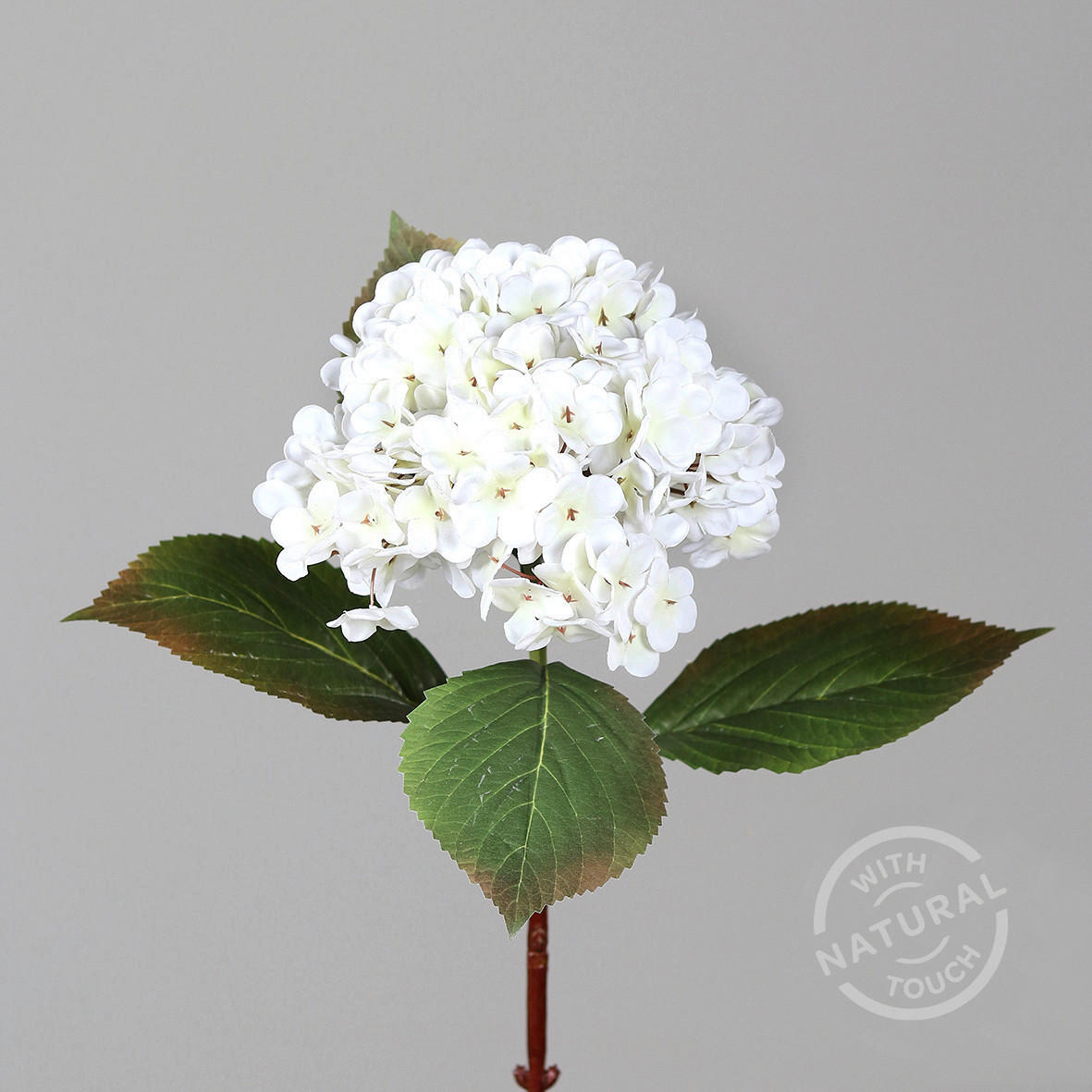 HORTENSIE - Basics (52cm)