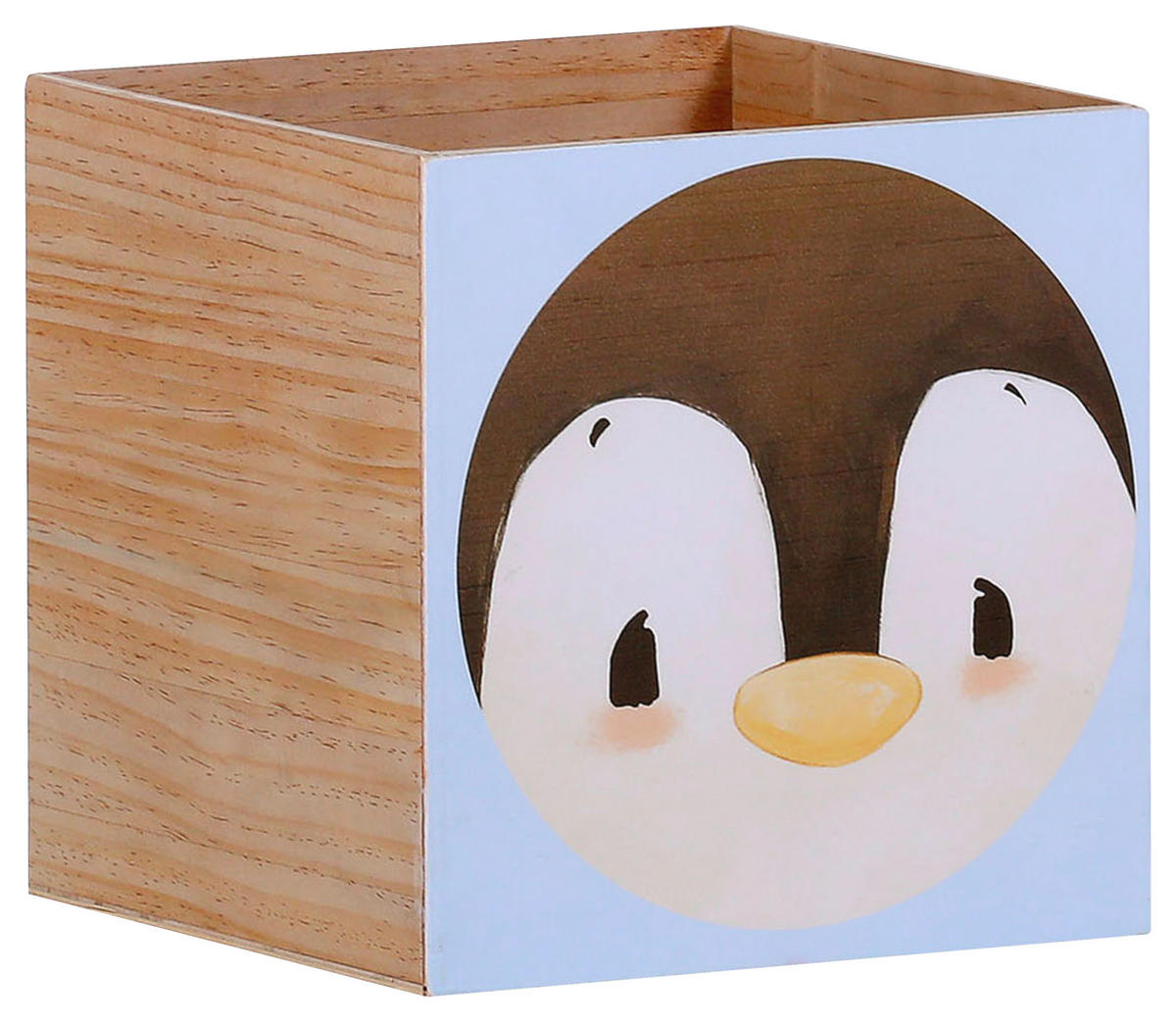 BOX - Hellblau, KONVENTIONELL, Holz (30/30/29cm)