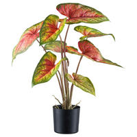 KUNSTPFLANZE 55 cm  - Rot/Schwarz, Design, Kunststoff (55cm)