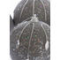 CHRISTBAUMKUGEL-SET 4-teilig Silberfarben - Silberfarben, Kunststoff (10cm) CHRISTBAUMKUGEL-SET 4-teilig Silberfarben - Silberfarben, Kunststoff (10cm)