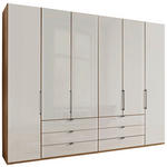 FALTTÜRENSCHRANK 300/216/58 cm 4-türig Champagner, Eiche Bianco  - Schieferfarben/Eiche Bianco, KONVENTIONELL, Glas/Holzwerkstoff (300/216/58cm) - Dieter Knoll
