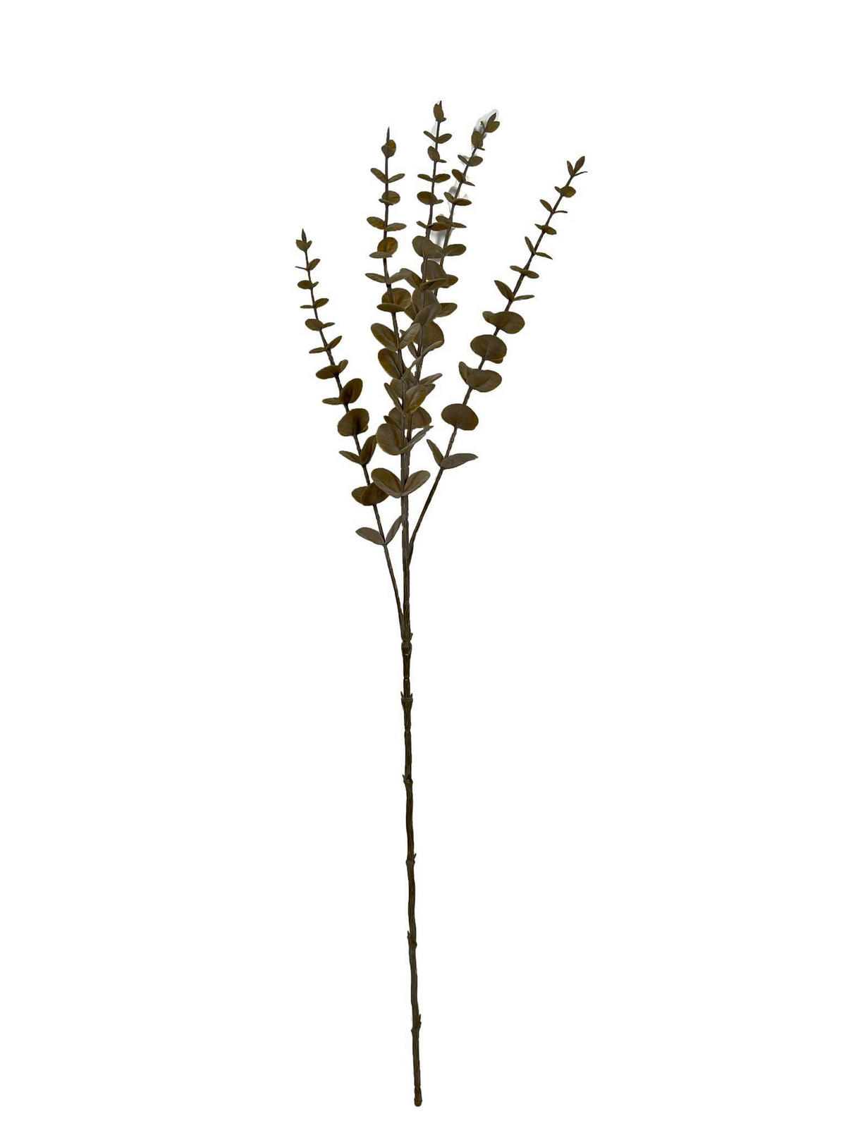 DEKOZWEIG  - Grau, Basics (74cm)