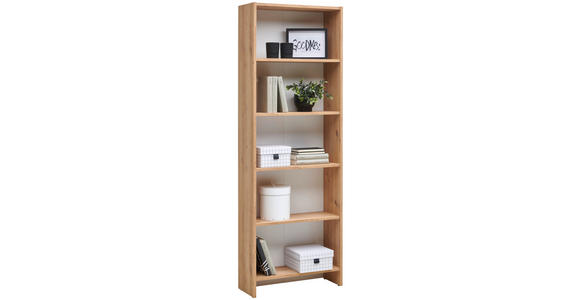 REGAL Eiche Artisan - Eiche Artisan, Design, Holzwerkstoff (60/175/24cm) - Carryhome