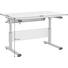 JUGENDSCHREIBTISCH - Beige/Silberfarben, Basics, Holzwerkstoff/Metall (120 53-79 70cm) - Paidi JUGENDSCHREIBTISCH - Beige/Silberfarben, Basics, Holzwerkstoff/Metall (120 53-79 70cm) - Paidi