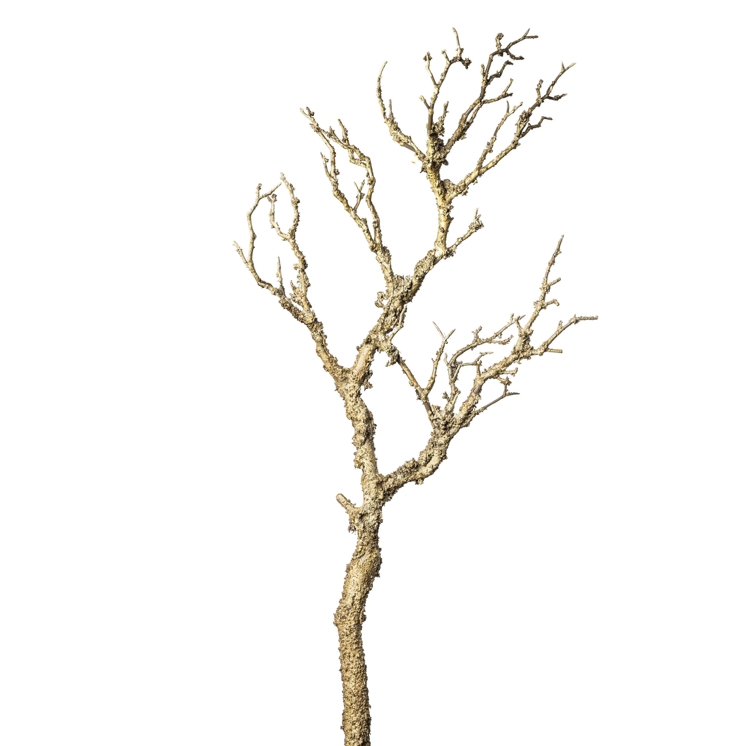 DEKOAST - Braun, Basics (75cm)