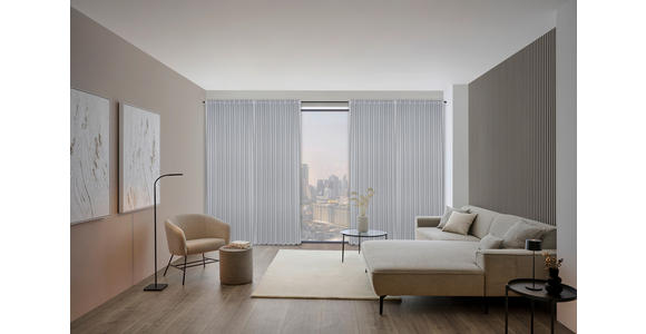 FERTIGVORHANG blickdicht  - Silberfarben, KONVENTIONELL, Textil (140/260cm) - Dieter Knoll
