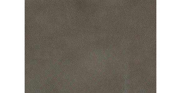 RELAXSESSEL in Leder Graubraun  - Edelstahlfarben/Graubraun, Design, Leder/Metall (76/119/86cm) - Dieter Knoll