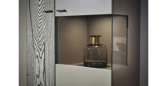 WOHNWAND in Grau, Eichefarben, Fango - Edelstahlfarben/Fango, Design, Glas/Holz (339,5/195,4/41,2cm) - Dieter Knoll