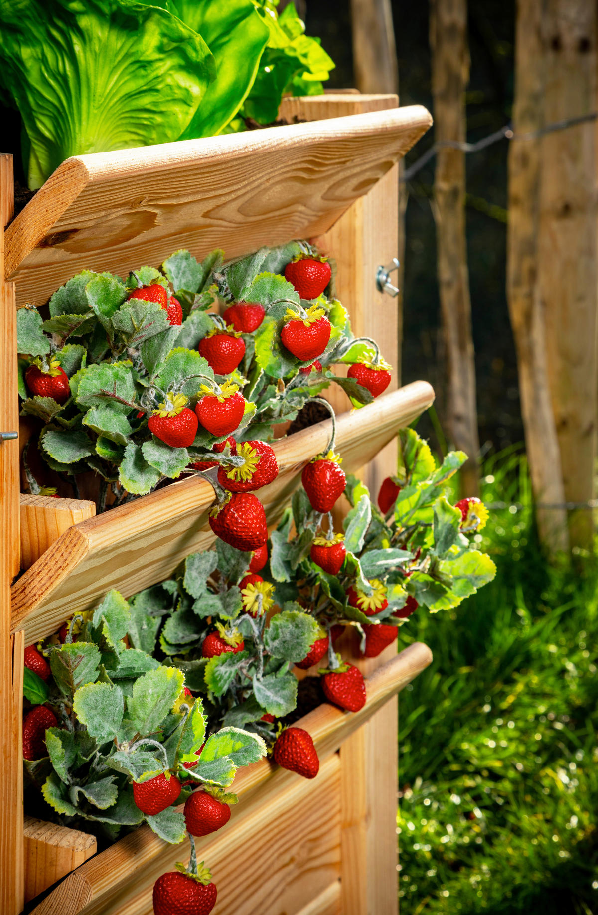 VYVÝŠENÝ ZÁHON   - farba smrekovca, Basics, drevo (65/73/65cm)