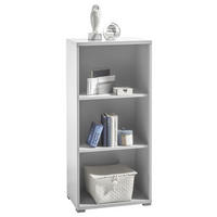 REGAL ZA DOKUMENTE  svijetlo siva  - srebrne boje/svijetlo siva, Design, drvni materijal (52/114/35cm) - Xora