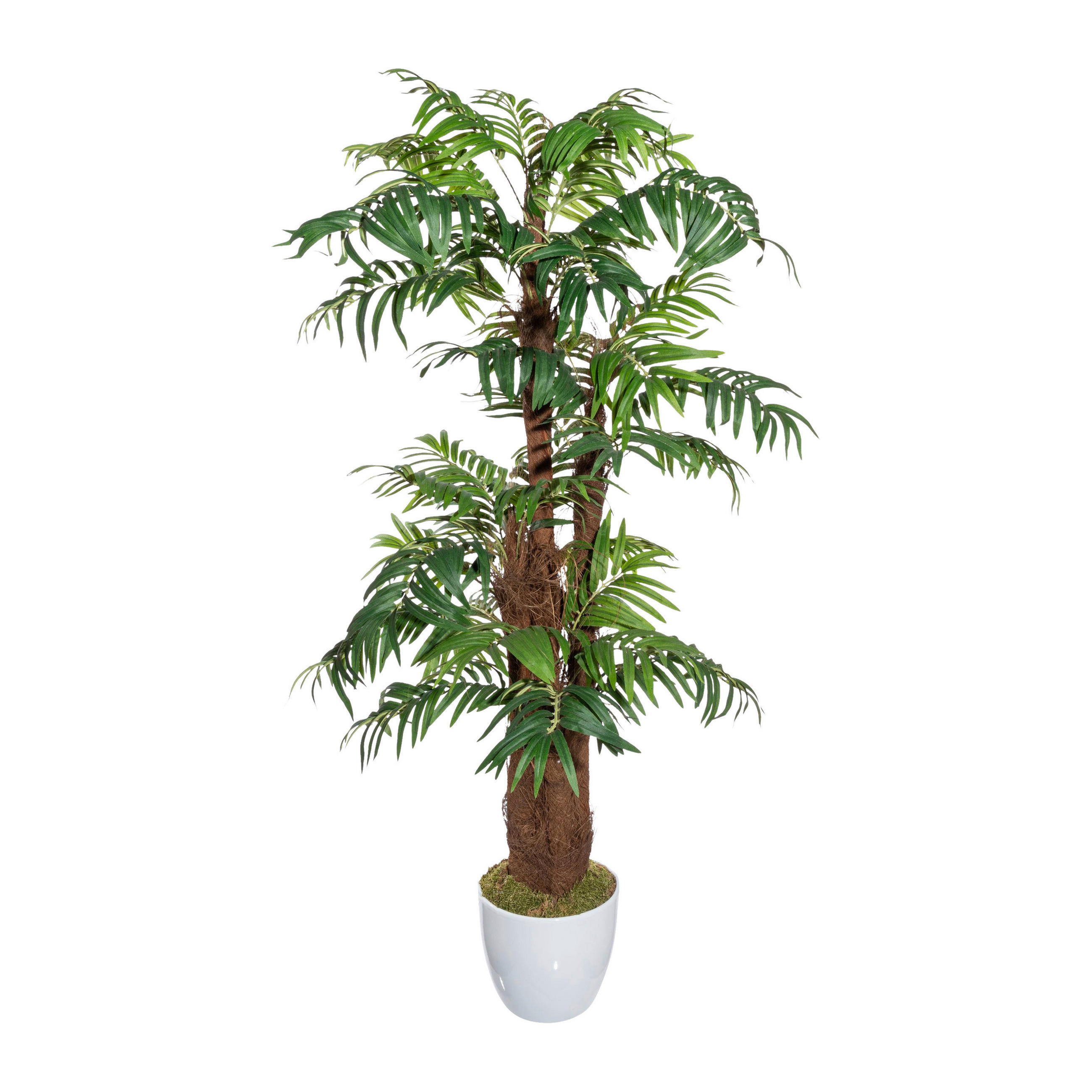 KUNSTPFLANZE Palme 150 cm  - Braun/Weiß, Design, Naturmaterialien/Keramik (150cm)