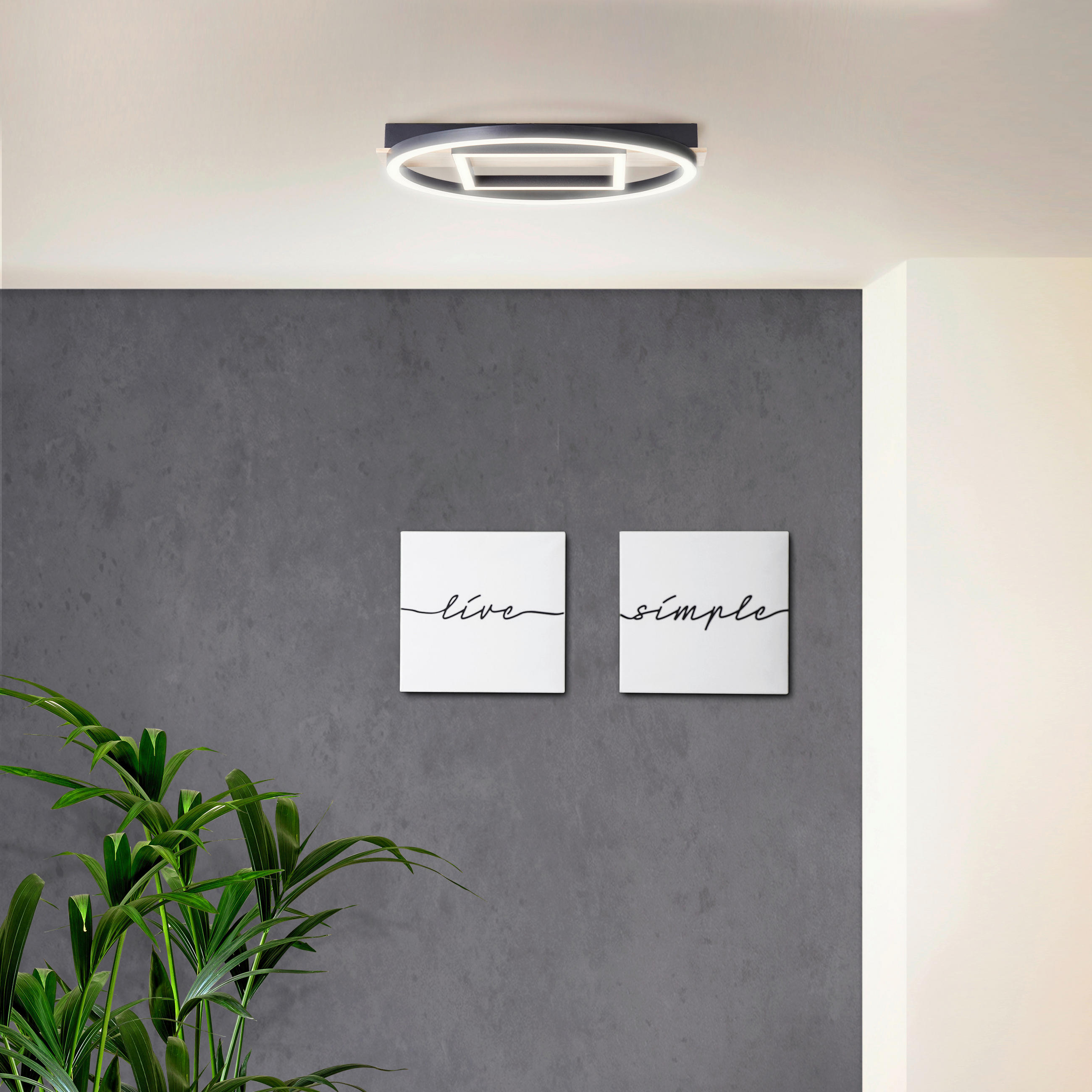 LED-PANEEL Maureen   - Schwarz/Braun, Design, Holz/Kunststoff (5/39/37cm) - Brilliant