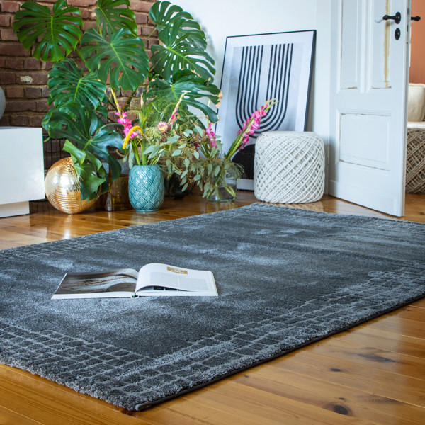 HOCHFLORTEPPICH 240/330 cm My Canyon Anthrazit  - Anthrazit, Basics, Textil (240/330cm) - Obsession