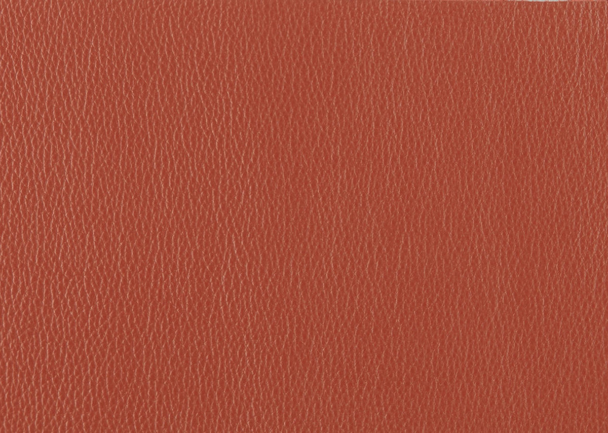 SESSEL Echtleder Rot  - Rot/Schwarz, Modern, Leder/Metall (74/105/92cm) - Johann Jakob