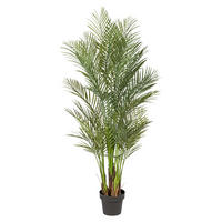 KUNSTPFLANZE Palme 160 cm  - Schwarz/Grün, Design, Kunststoff (160cm) - P & B