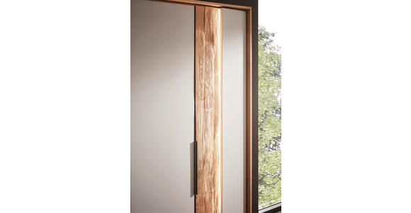 DREHTÜRENSCHRANK 301,9/223,3/62 cm 6-türig Grau, Wildeiche - Wildeiche/Schwarz, Design, Holz/Holzwerkstoff (301,9/223,3/62cm) - Dieter Knoll