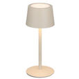 AKKU-TISCHLEUCHTE 9/22 cm  - Beige, Basics, Metall (9/22cm) - Novel