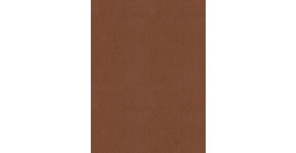 ARMLEHNSTUHL  in Eisen Teddystoff Echtleder pigmentiert  - Cognac/Schwarz, Design, Leder/Textil (59,5/83,5/63,5cm) - Belluti