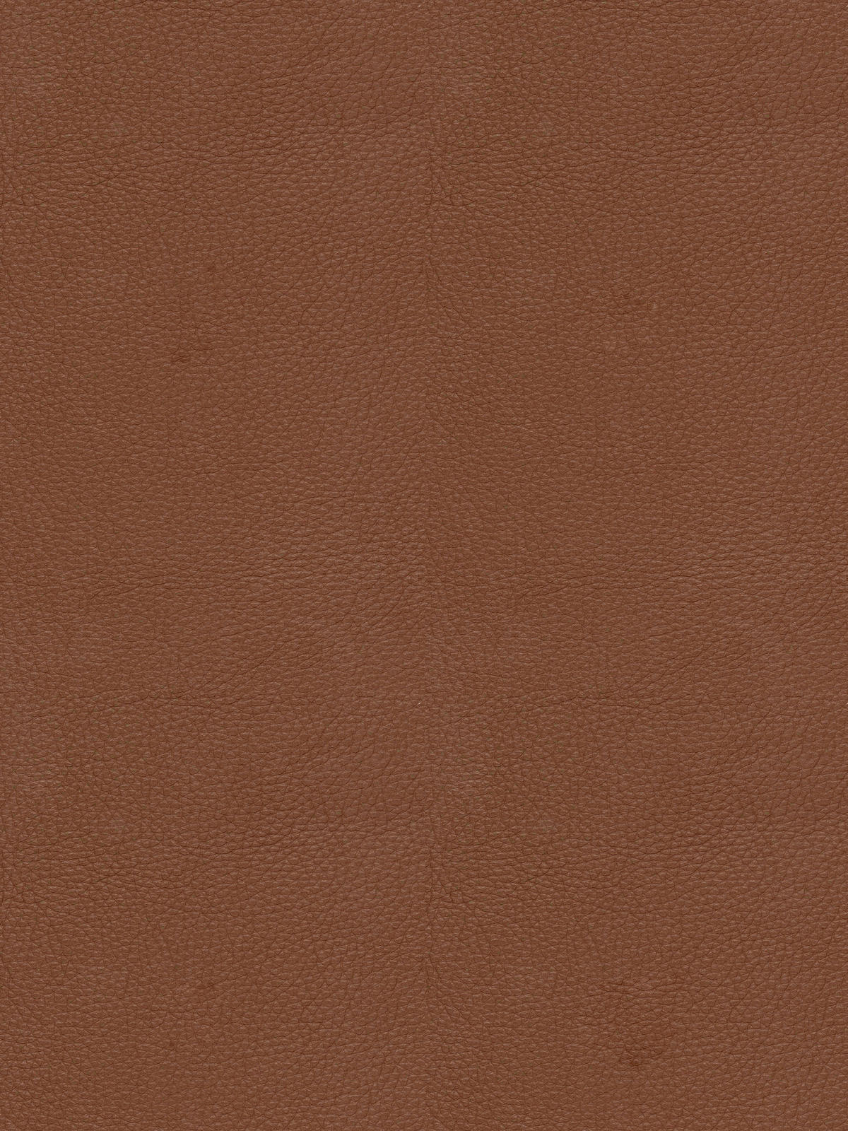 ARMLEHNSTUHL  in Eisen Teddystoff Echtleder pigmentiert  - Cognac/Schwarz, Design, Leder/Textil (59,5/83,5/63,5cm) - Emilio Belluti