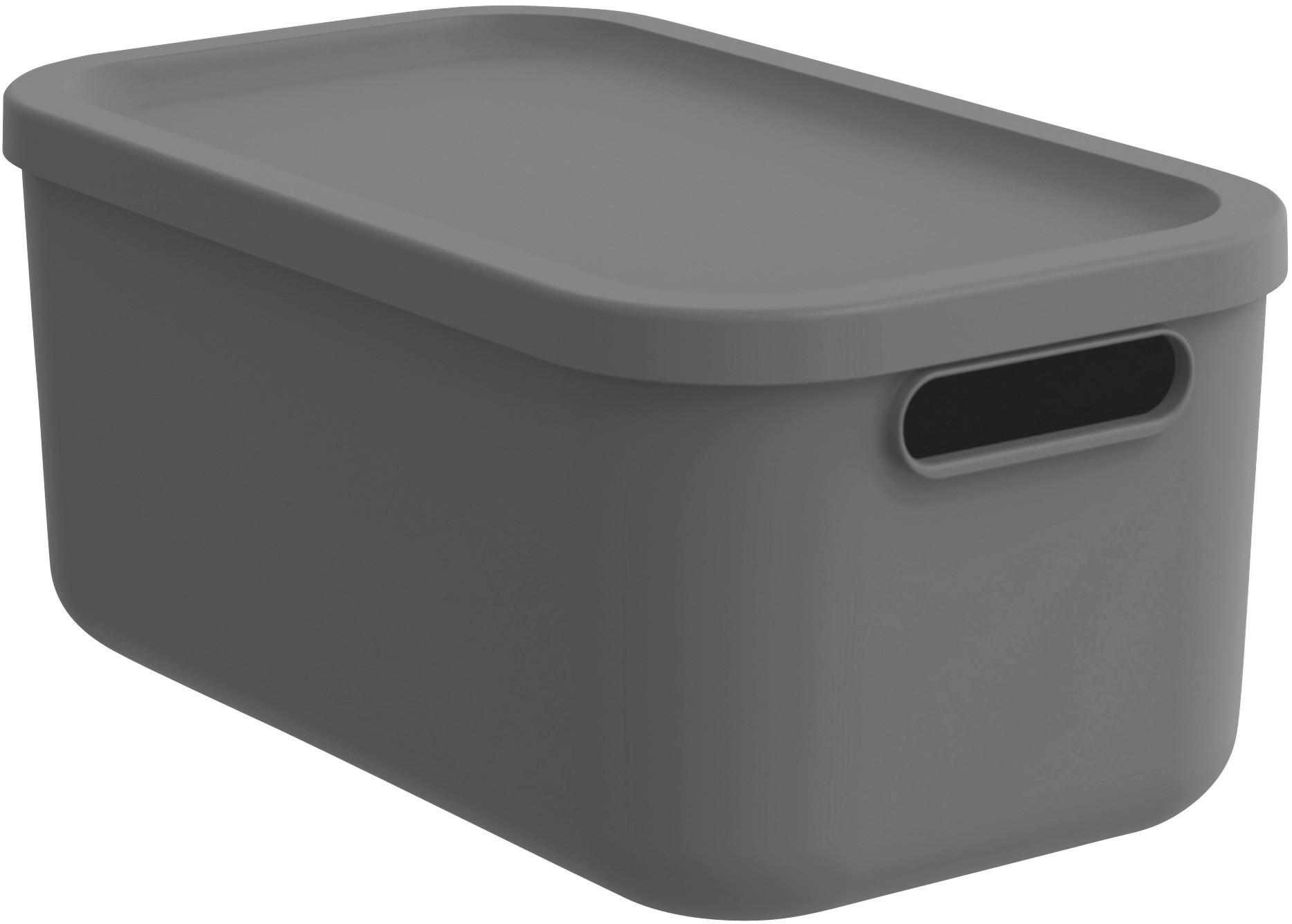 AUFBEWAHRUNGSBOX     - Schwarz, Basics, Kunststoff (23.5/17.7/39.5cm) - Rotho