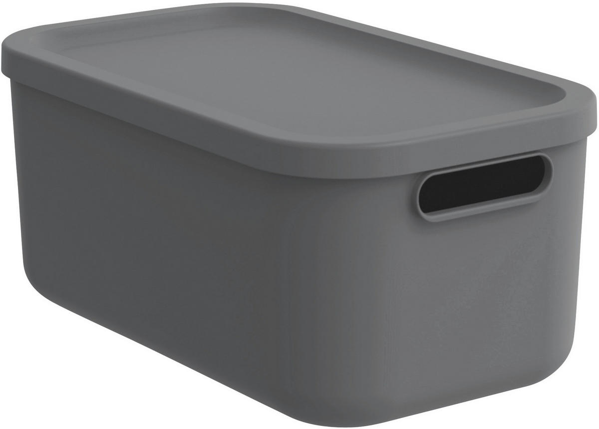 AUFBEWAHRUNGSBOX     - Schwarz, Basics, Kunststoff (23.5/17.7/39.5cm) - Rotho