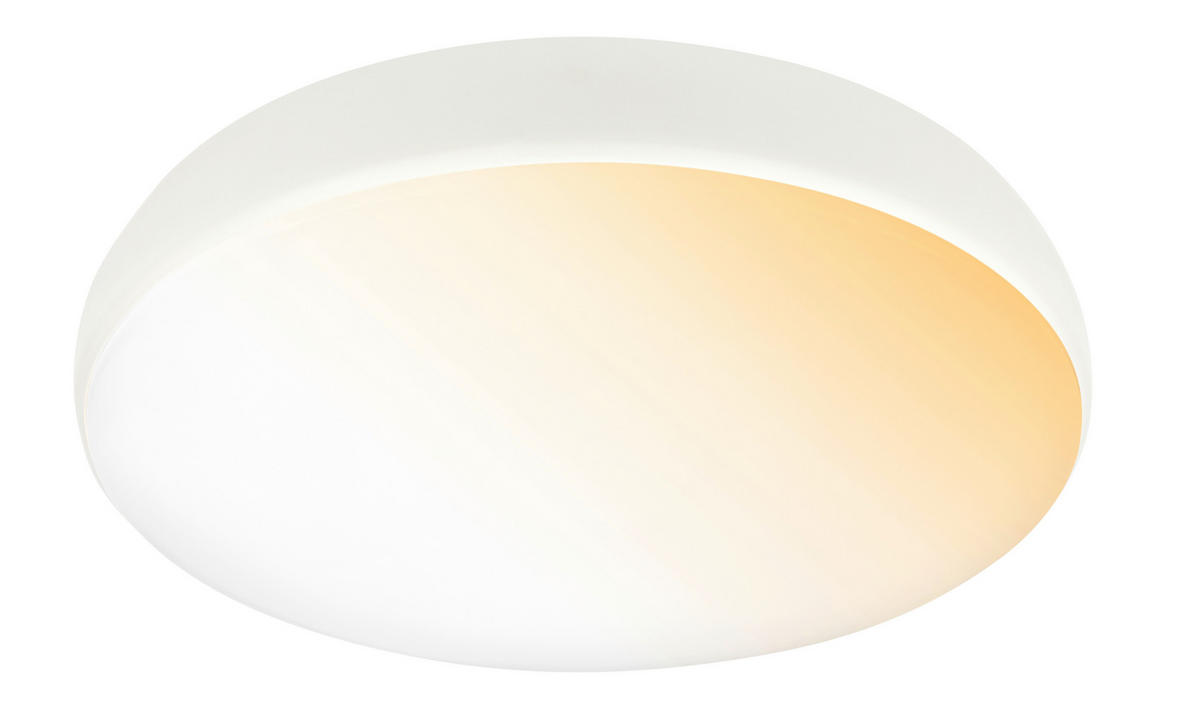 STROPNÍ LED SVÍTIDLO, 35/8,5 cm  - bílá, Basics, kov/plast (35/8,5cm)