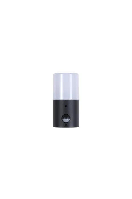 AUSSENWANDLEUCHTE Colorado 17,5/8,5/13 cm  - Hellgrau/Schwarz, Design, Kunststoff/Metall (17,5/8,5/13cm)