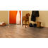 LAMINATBODEN Eichefarben per m² - Eichefarben, Design, Holz (138/24,4/0,8cm) - Venda
