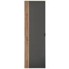 GARDEROBENSCHRANK  in 55/179/37 cm  - Schwarz/Graphitfarben, Design, Holzwerkstoff/Metall (55/179/37cm) - Voleo