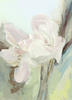 KUNSTDRUCK Blumen Fleurs Printanières II  - Pastellblau/Hellrosa, Basics, Papier (50/70cm) - Monee