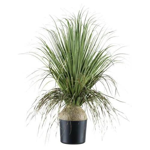 KUNSTPFLANZE Beerenzweig 68 cm  - Schwarz/Grau, Design, Kunststoff (68cm) - P & B
