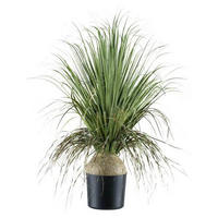 KUNSTPFLANZE Beerenzweig 68 cm  - Schwarz/Grau, Design, Kunststoff (68cm) - P & B