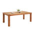 GARTENTISCH 200/100/75 cm - Teakfarben, Design, Holz (200/100/75cm) - Ambia Garden GARTENTISCH 200/100/75 cm - Teakfarben, Design, Holz (200/100/75cm) - Ambia Garden