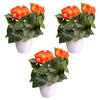 KUNSTPFLANZE 24 cm  - Gelb/Orange, Design, Kunststoff (24cm) - P & B
