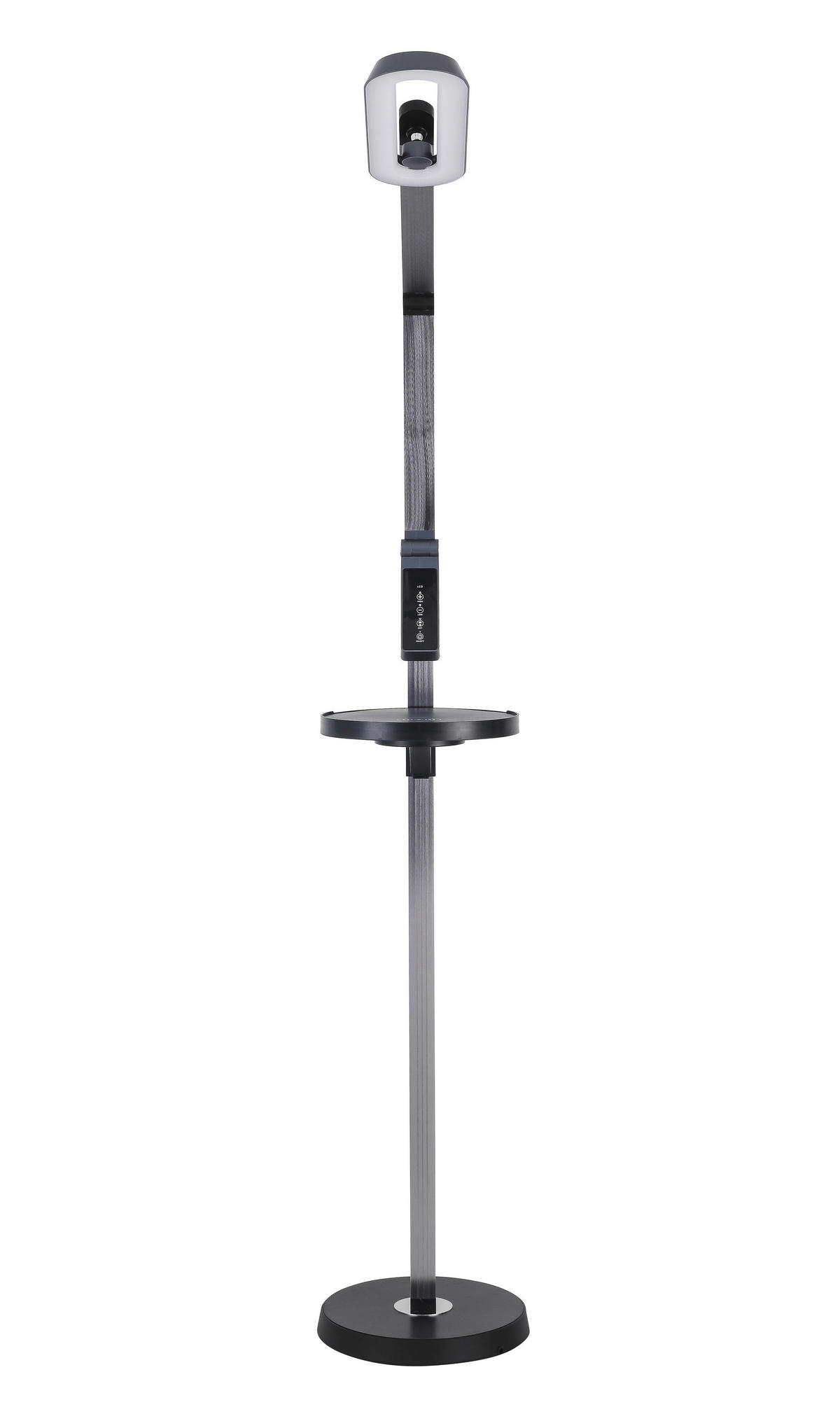 LED-STEHLEUCHTE - Anthrazit/Schwarz, Trend, Kunststoff/Metall (27,2/71/135cm) - Novel