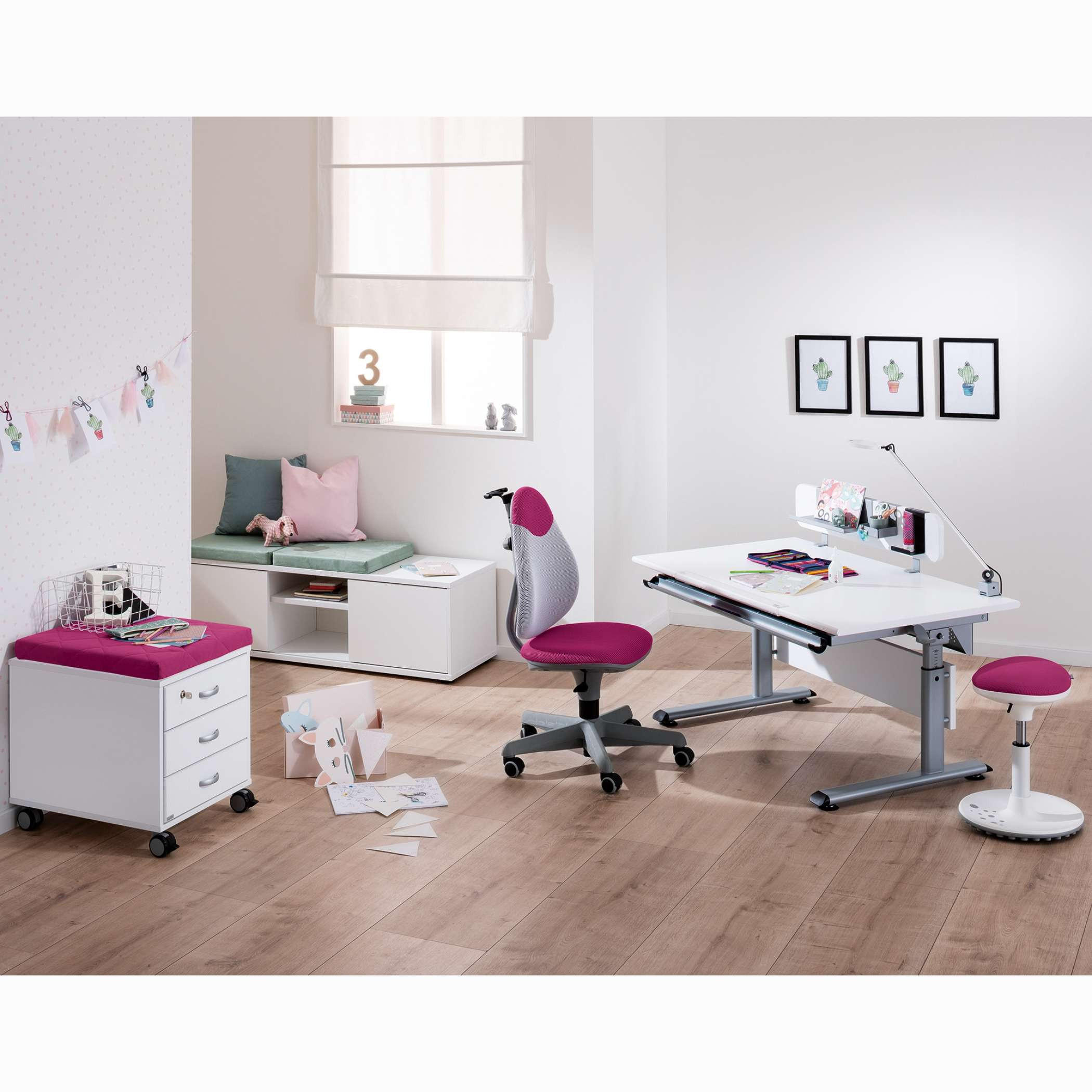 JUGENDDREHSTUHL Netzbespannung Rosa, Weiß  - Rosa/Weiß, Basics, Kunststoff/Textil (63/86-102/53cm) - Paidi