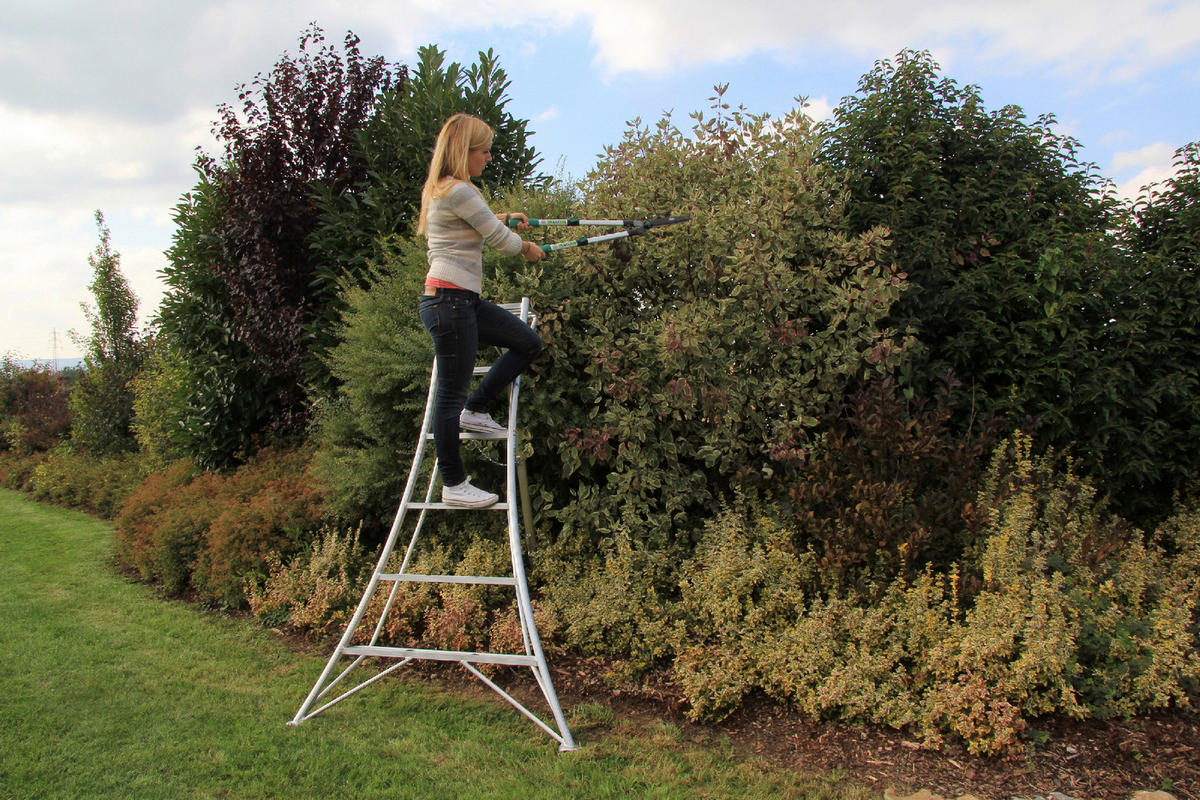 LEITER - Silberfarben, Basics, Metall (125/180/20cm) - Ambia Garden