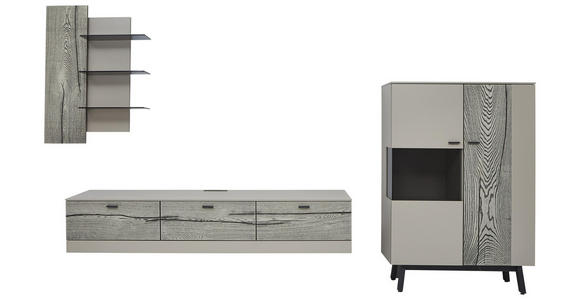 WOHNWAND in Grau, Eichefarben, Fango - Edelstahlfarben/Fango, Design, Glas/Holz (341,3/186,8/49,2cm) - Dieter Knoll