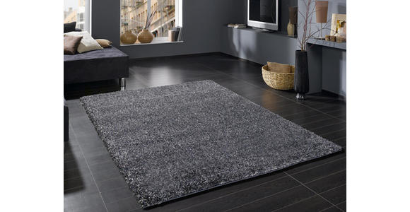 HOCHFLORTEPPICH 120/170 cm Fashion Shaggy Blau, Grau - Blau/Grau, Basics, Textil (120/170cm) - Novel