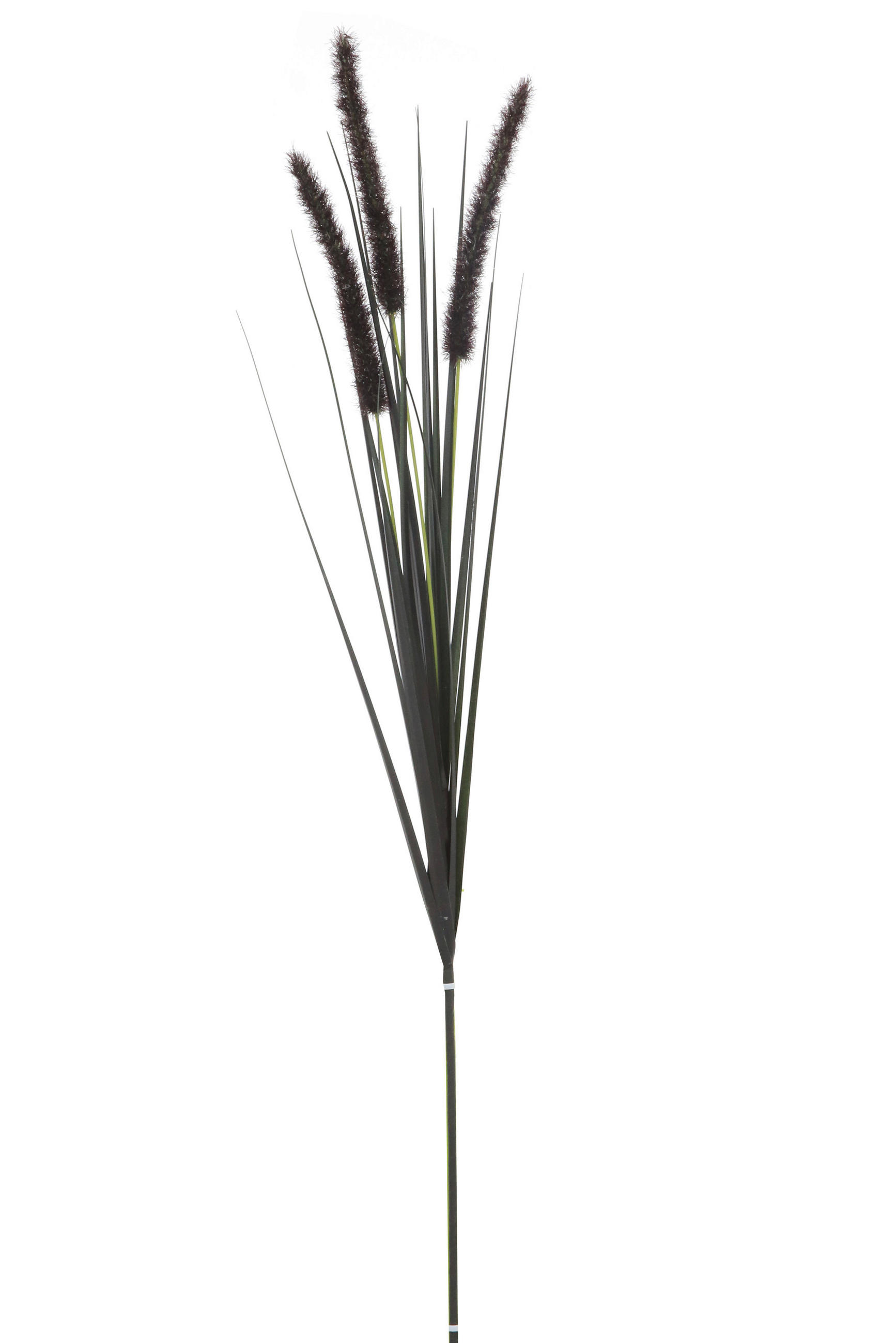 Ambia Home OROBINEC, 85 cm