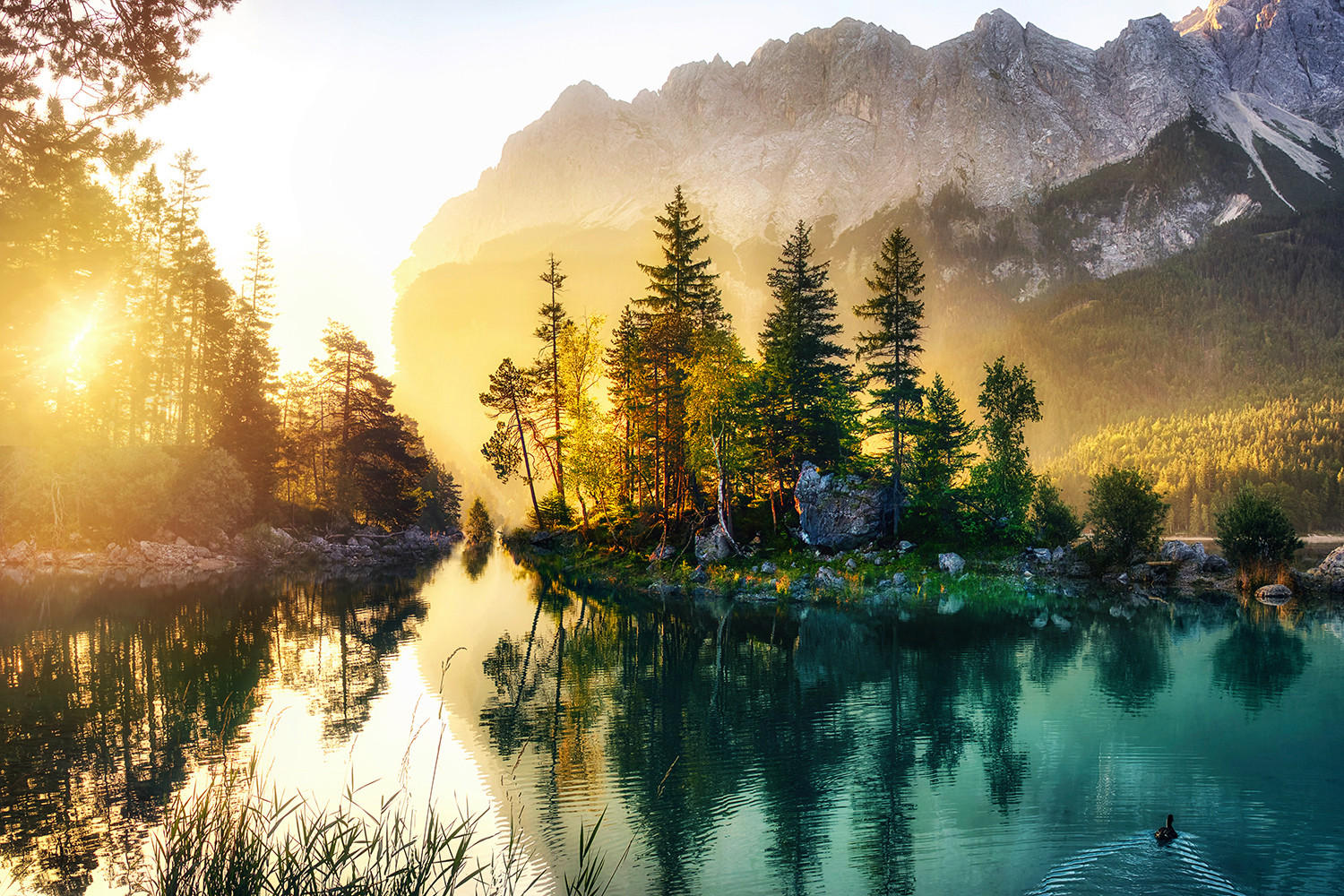 Monee OBRAZ NA SKLE, krajina a příroda, 120/80 cm