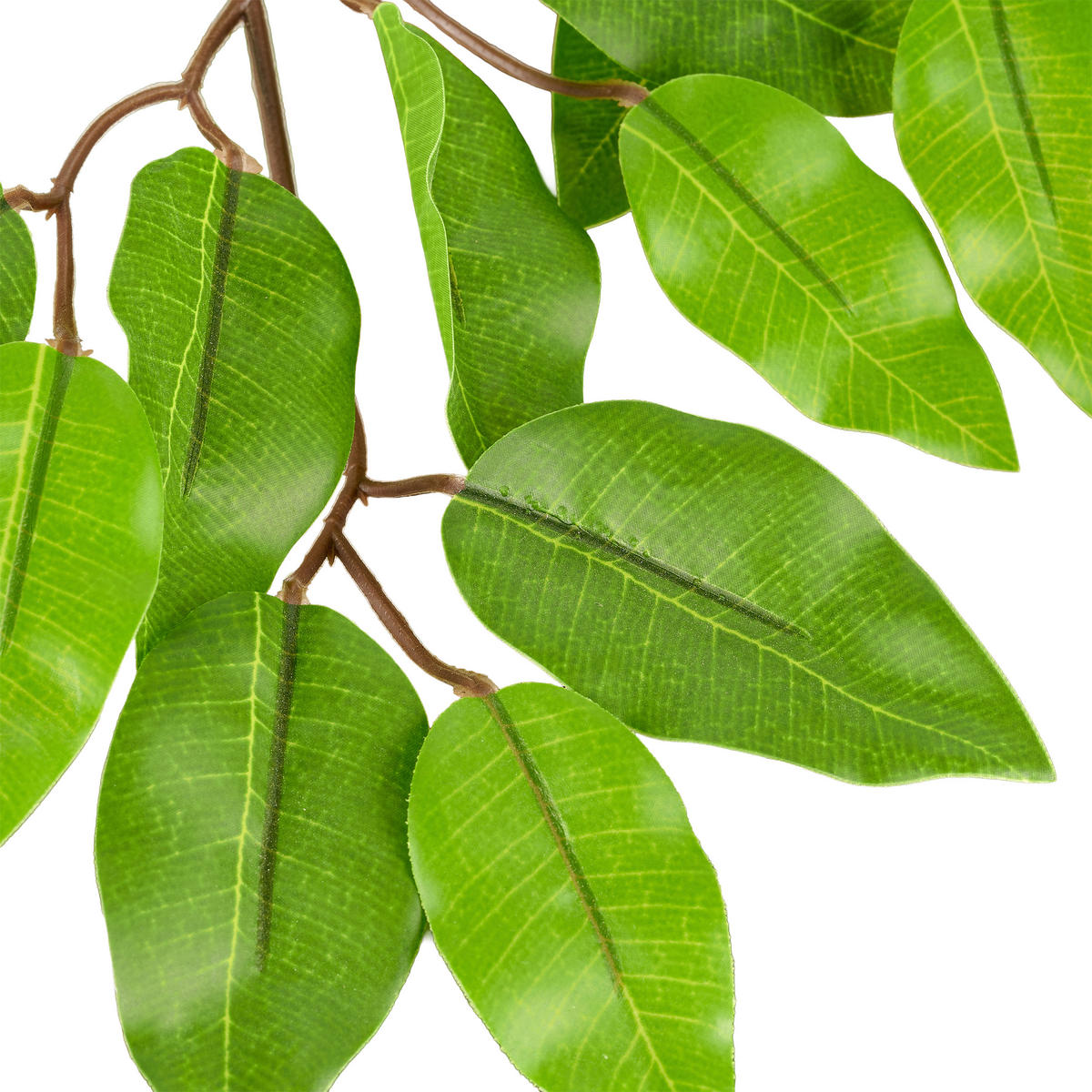 KUNSTPFLANZE Ficus Benjamina  - Schwarz/Braun, Basics, Kunststoff (160cm)