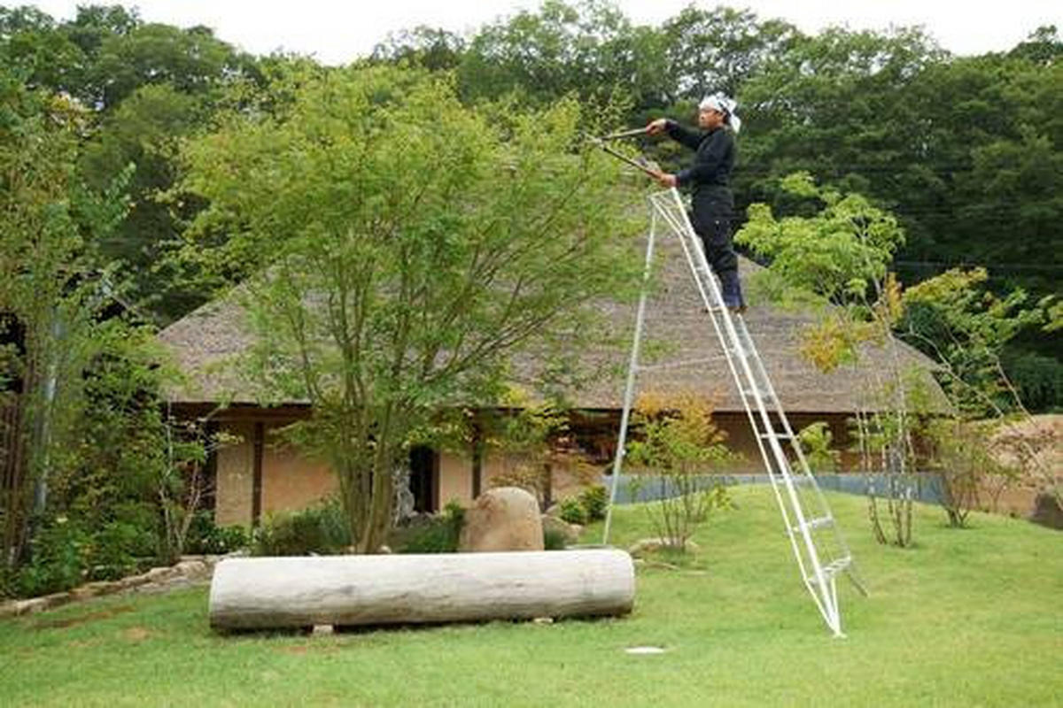 LEITER - Silberfarben, Basics, Metall (231/300/147cm) - Ambia Garden