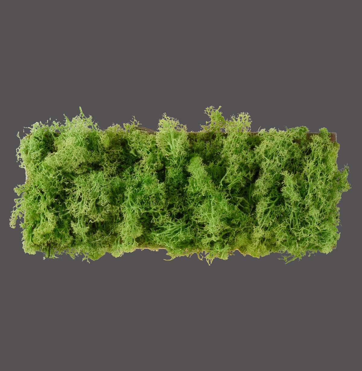 WANDLEUCHTE Carlo 32/6/12 cm   - Natur, Naturmaterialien (32/6/12cm)